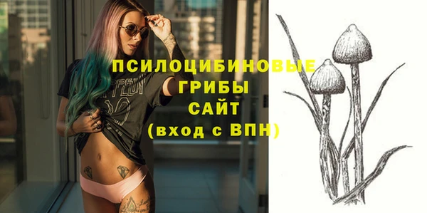 прущая мука Гусев