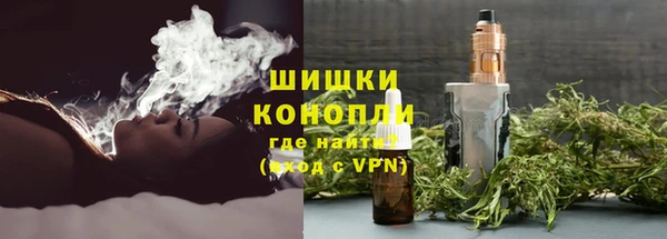 PSILOCYBIN Гусь-Хрустальный