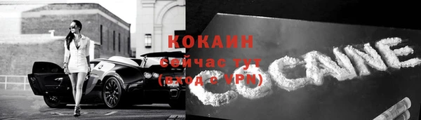 прущая мука Гусев