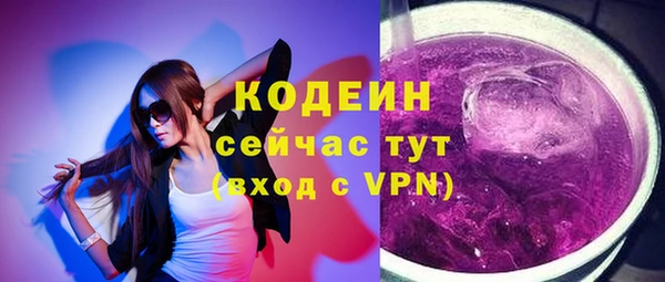 PSILOCYBIN Гусь-Хрустальный