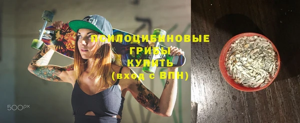 прущая мука Гусев