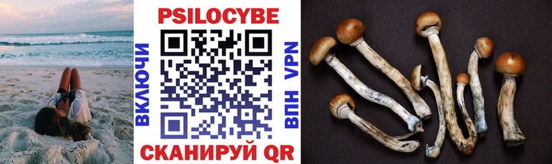 Купить закладки  Котлас  Псилоцибиновые грибы Cubensis 