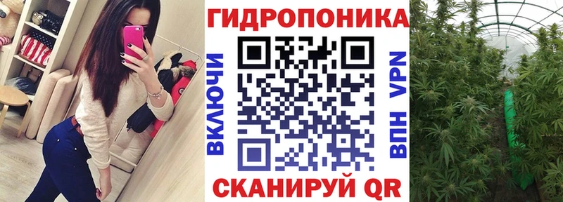 Конопля White Widow  Купить закладки  Котлас 